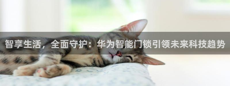 开丰娱乐不开了吗：智享生活，全面守护：华为智能门锁引领未来科