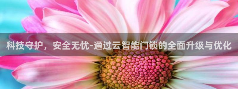 开丰娱乐不开了吗：科技守护，安全无忧-通过云智能门锁的全面升