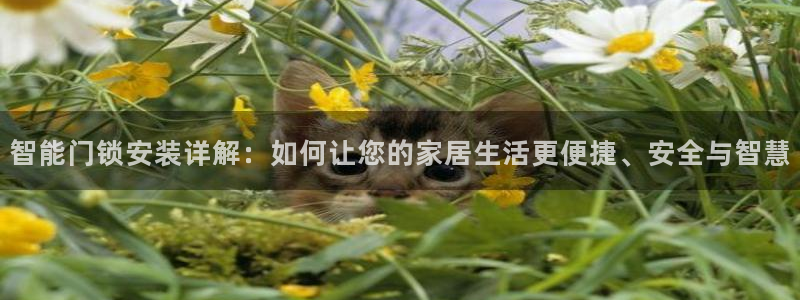 圩丰刚开的娱乐场所：智能门锁安装详解：如何让您的家居生活更便