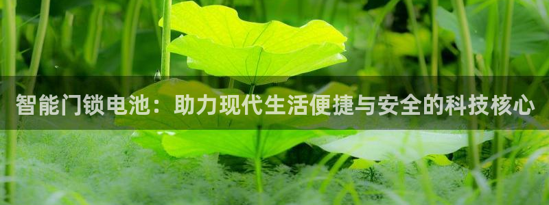 开丰娱乐平台官网登录：智能门锁电池：助力现代生活便捷与安全的