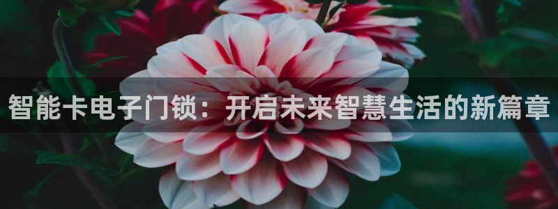 开丰娱乐月7O667：智能卡电子门锁：开启未来智慧生活的新篇