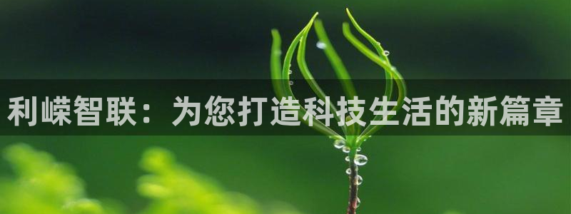 开丰娱乐67 5138：利嵘智联：为您打造科技生活的新篇章