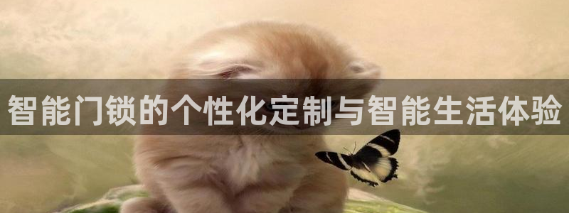 开丰娱乐网站官网入口：智能门锁的个性化定制与智能生活体验