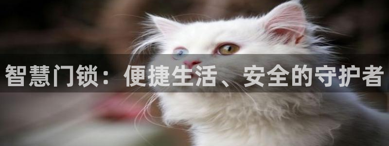 开丰娱乐平台官网网址：智慧门锁：便捷生活、安全的守护者