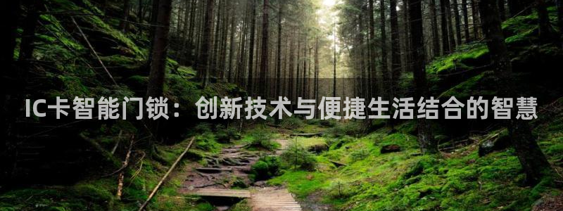 开丰娱乐主管家去判官333OO：IC卡智能门锁：创新技术与便