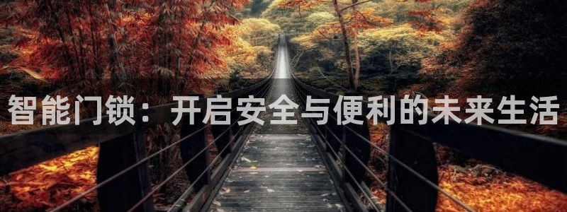 开丰娱乐网站：智能门锁：开启安全与便利的未来生活
