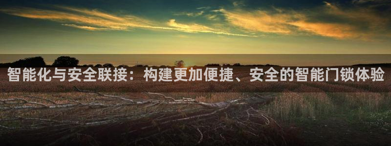 开丰娱乐乙833_43：智能化与安全联接：构建更加便捷、安全