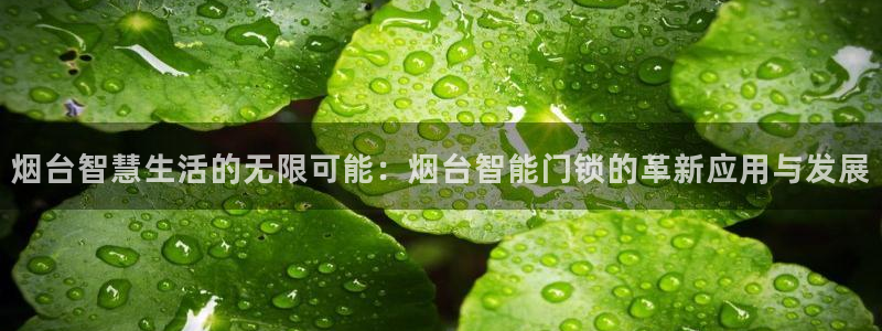 开丰娱乐前：烟台智慧生活的无限可能：烟台智能门锁的革新应用与