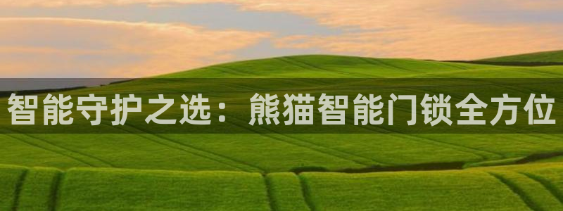开丰娱乐官网首页：智能守护之选：熊猫智能门锁全方位