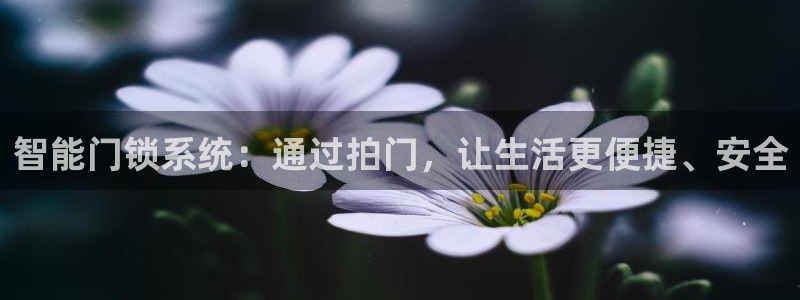 开丰娱乐天7O667：智能门锁系统：通过拍门，让生活更便捷、