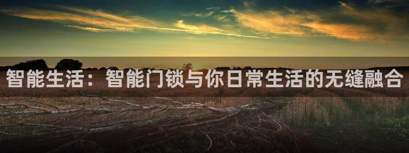 开丰娱乐 赢咖一：智能生活：智能门锁与你日常生活的无缝融合