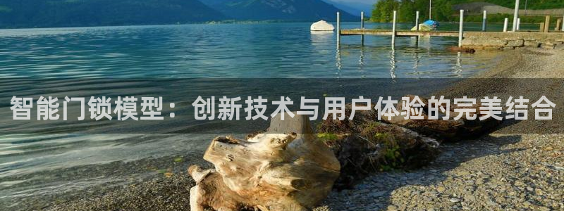 开丰娱乐平台注册时间：智能门锁模型：创新技术与用户体验的完美