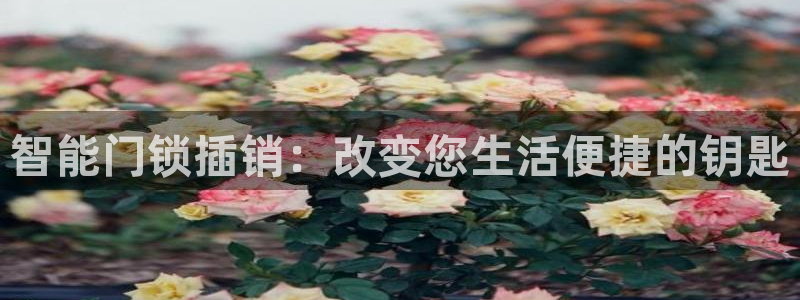 开丰娱乐平台官网网址：智能门锁插销：改变您生活便捷的钥匙