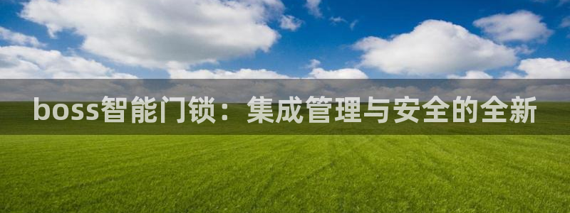 开丰娱乐主管家去判官333OO：boss智能门锁：集成管理与