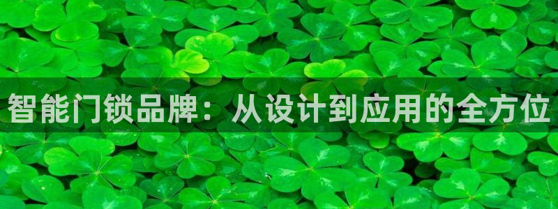 开丰娱乐不开了吗：智能门锁品牌：从设计到应用的全方位