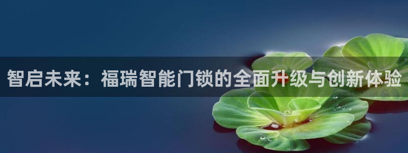 开丰娱乐平台官网登录：智启未来：福瑞智能门锁的全面升级与创新