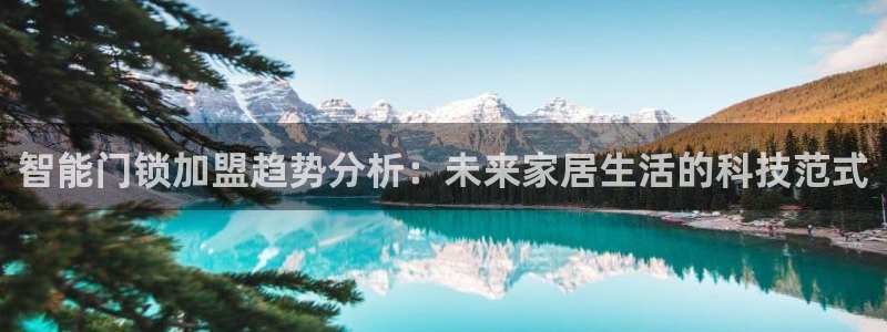 开丰娱乐更多平台：智能门锁加盟趋势分析：未来家居生活的科技范
