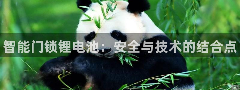 开丰娱乐开户：智能门锁锂电池：安全与技术的结合点