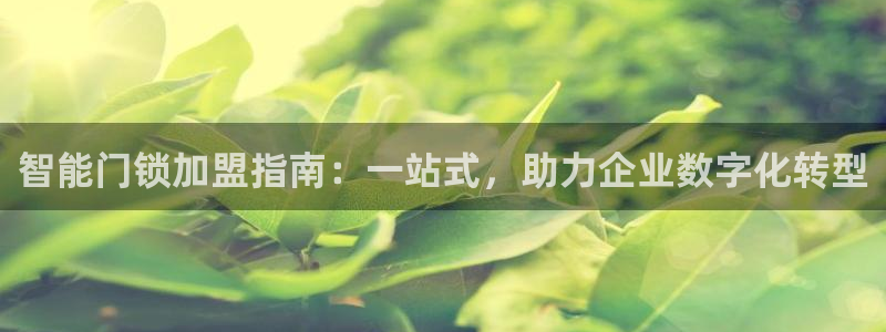开丰娱乐下7O667：智能门锁加盟指南：一站式，助力企业数字