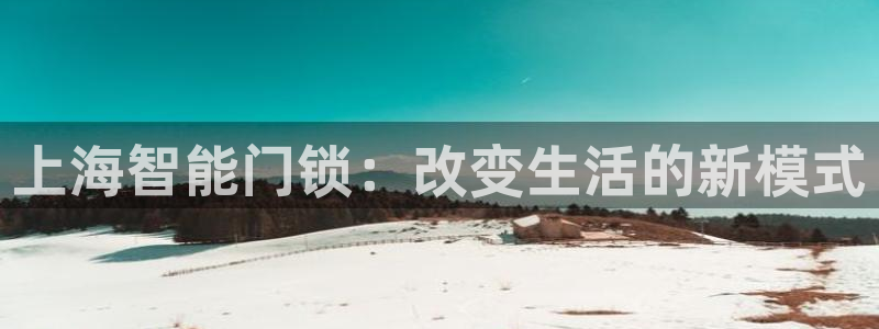 开丰娱乐乙833_43：上海智能门锁：改变生活的新模式