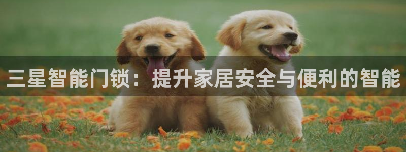 开丰娱乐左7O667：三星智能门锁：提升家居安全与便利的智能