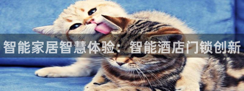 开丰娱乐上：智能家居智慧体验：智能酒店门锁创新