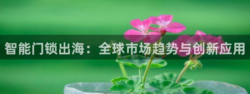 开丰娱乐平台注册地址：智能门锁出海：全球市场趋势与创新应用