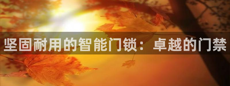开丰娱乐登入地址查询：坚固耐用的智能门锁：卓越的门禁