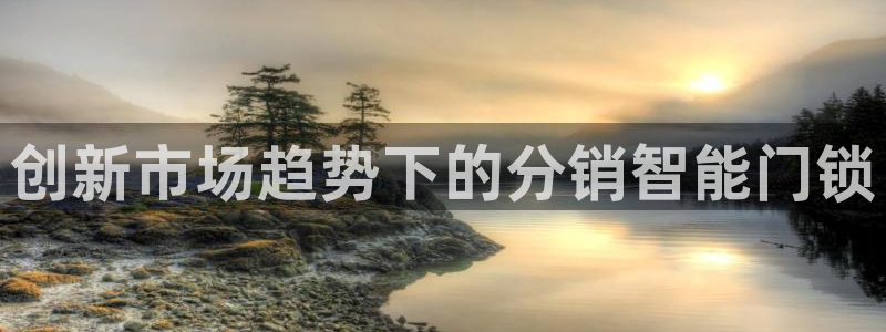 开丰娱乐新登录平台：创新市场趋势下的分销智能门锁