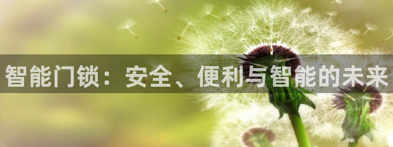 开丰娱乐登录地址入口：智能门锁：安全、便利与智能的未来