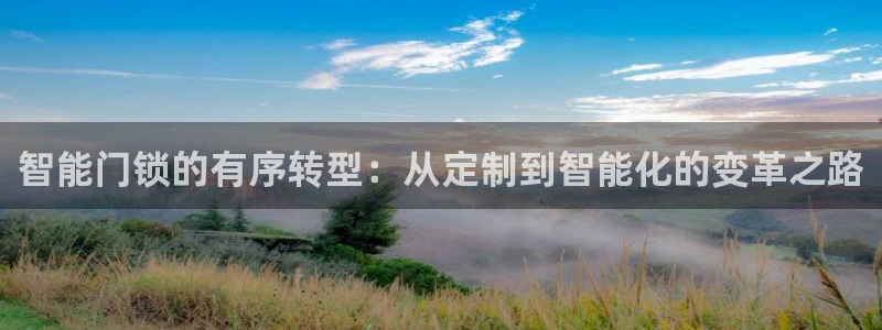 开丰娱乐巾67五壹叁八：智能门锁的有序转型：从定制到智能化的