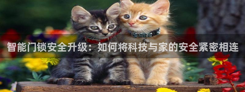 开丰娱乐左：智能门锁安全升级：如何将科技与家的安全紧密相连