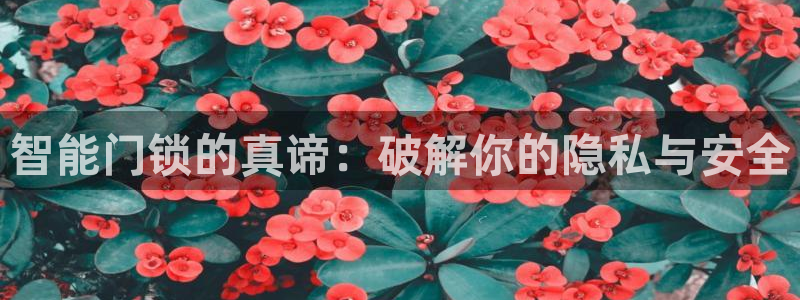 开丰娱乐注册资金多少：智能门锁的真谛：破解你的隐私与安全