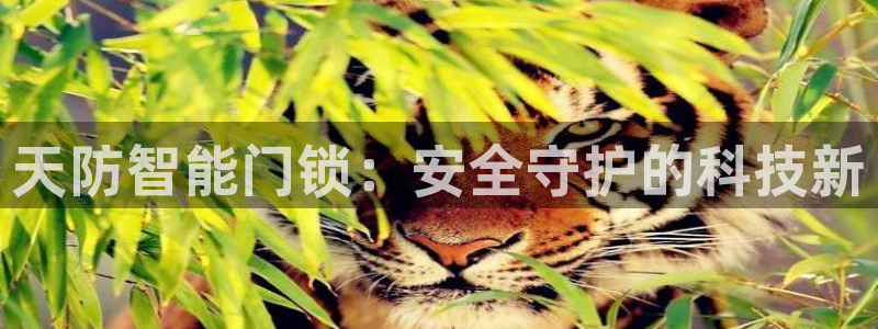 开丰娱乐线路：天防智能门锁：安全守护的科技新