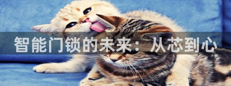 开丰娱乐网官网注册入口：智能门锁的未来：从芯到心