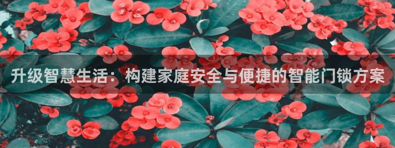 开丰娱乐登录地址入口：升级智慧生活：构建家庭安全与便捷的智能