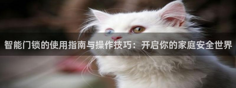 开丰娱乐千67五壹叁八：智能门锁的使用指南与操作技巧：开启你