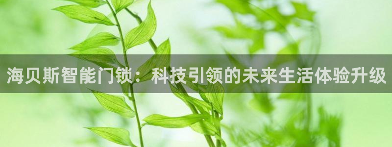 开丰娱乐 赢咖一：海贝斯智能门锁：科技引领的未来生活体验升级