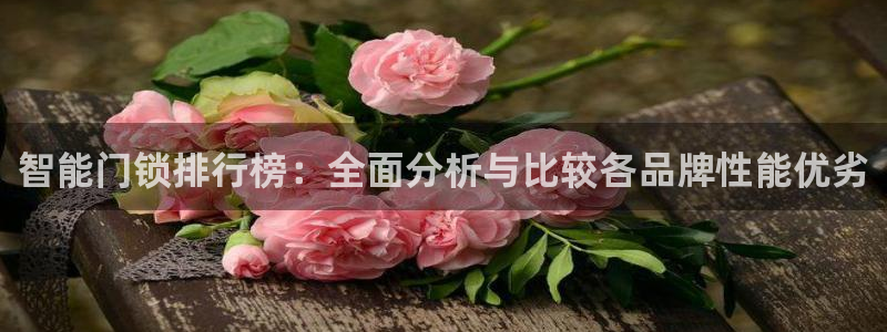 开丰娱乐前：智能门锁排行榜：全面分析与比较各品牌性能优劣