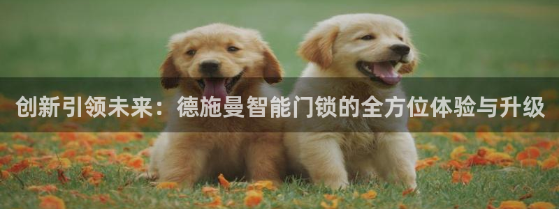 开丰娱乐前：创新引领未来：德施曼智能门锁的全方位体验与升级