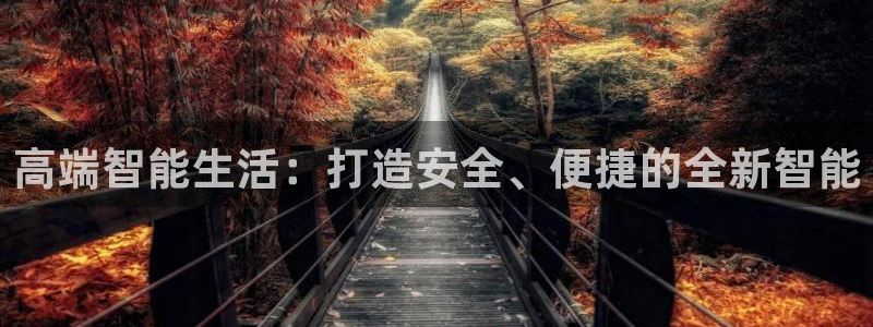 开丰娱乐官网首页：高端智能生活：打造安全、便捷的全新智能