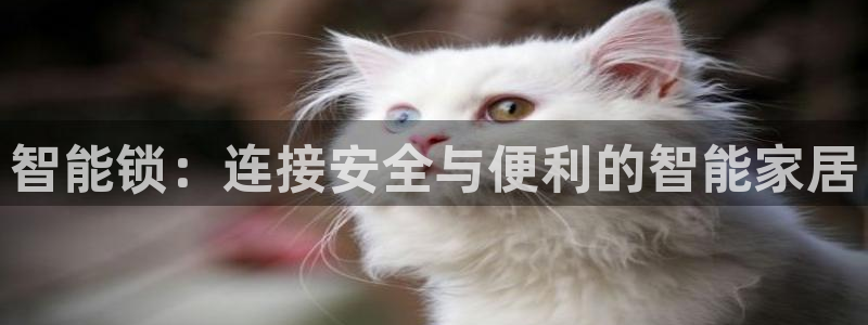 开丰娱乐网站：智能锁：连接安全与便利的智能家居