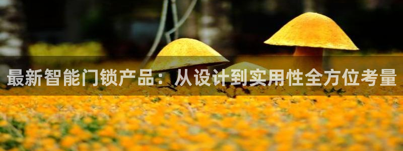 开丰娱乐登入地址查询：最新智能门锁产品：从设计到实用性全方位