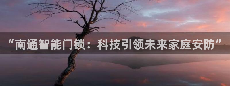 开丰娱乐平台地址：“南通智能门锁：科技引领未来家庭安防”