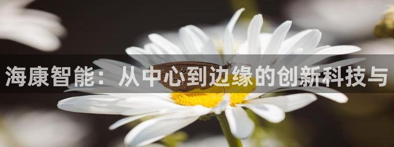 开丰娱乐官网平台电话：海康智能：从中心到边缘的创新科技与