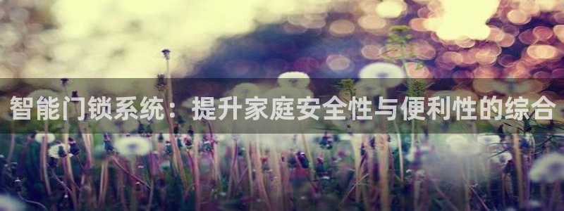 开丰娱乐2登录：智能门锁系统：提升家庭安全性与便利性的综合