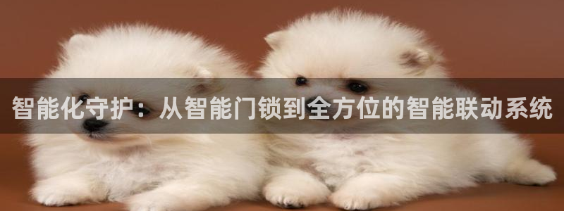 开丰娱乐更多平台：智能化守护：从智能门锁到全方位的智能联动系