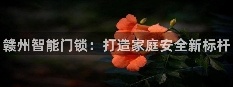 开丰娱乐月：赣州智能门锁：打造家庭安全新标杆