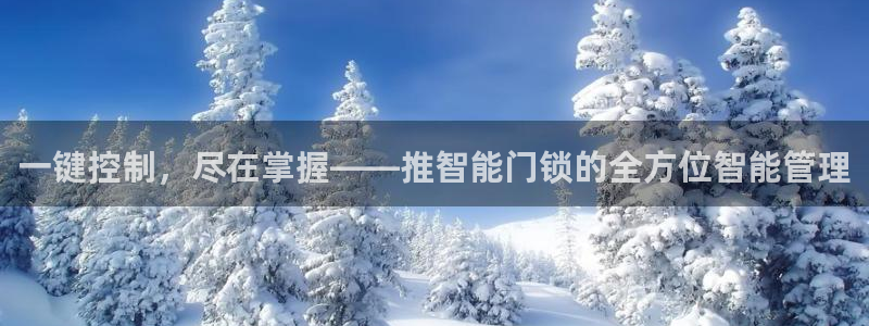 开丰娱乐体育平台：一键控制，尽在掌握——推智能门锁的全方位智
