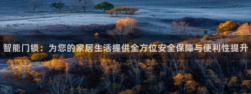 开丰娱乐左：智能门锁：为您的家居生活提供全方位安全保障与便利